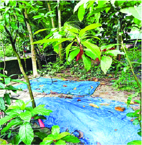 Image of মো: রুবেল